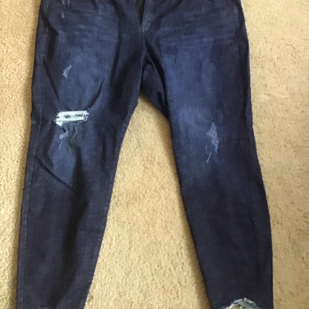Lane Bryant Super Stretch Skinny Dark Wash